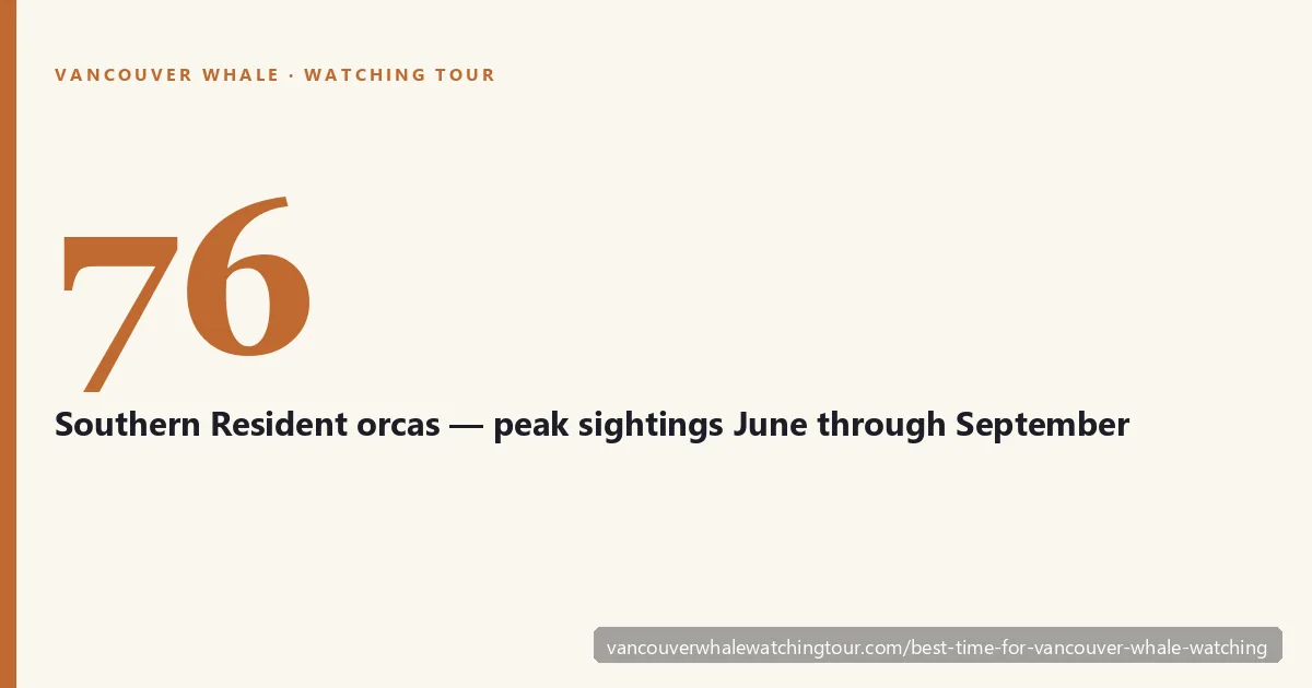 Best time for Vancouver whale watching: 76 Southern Resident orcas across J, K, and L pods are most reliably present in the Salish Sea from June through September during the peak Chinook salmon run
