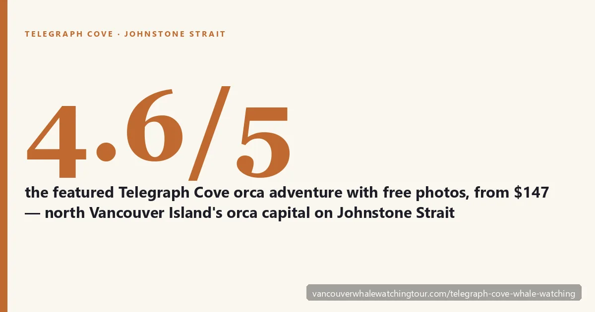 Telegraph Cove whale watching on Johnstone Strait: featured orca adventure rated 4.6 out of 5 from 134 reviews, free photos, from $147, north Vancouver Island near Port McNeill
