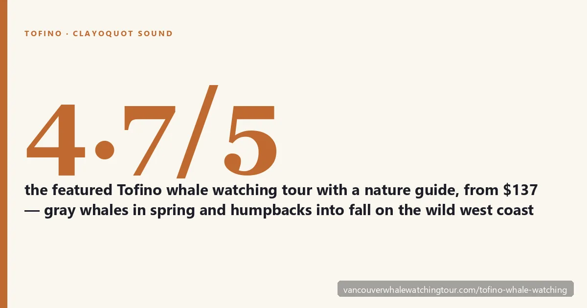 Tofino whale watching on Clayoquot Sound: featured gray whale and humpback tour with nature guide rated 4.7 out of 5 from 75 reviews, from $137, west coast Vancouver Island