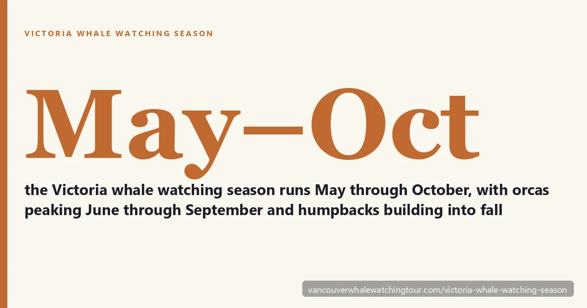 Victoria whale watching season: best time is May to October with orcas peaking June through September, humpbacks building into fall, and gray whales passing on spring migration