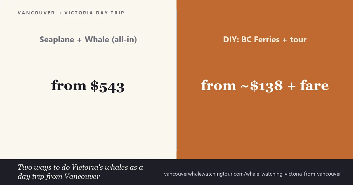 Whale watching in Victoria from Vancouver: seaplane and whale watching day trip rated 4.6 out of 5 from 121 reviews from $543, or the budget BC Ferries DIY route from about $138 plus fare