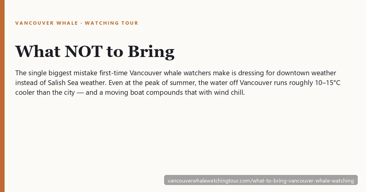 What to bring on a Vancouver whale watching tour: first-timer packing-list hook warning that Salish Sea water runs 10-15C cooler than downtown Vancouver and a moving boat compounds wind chill