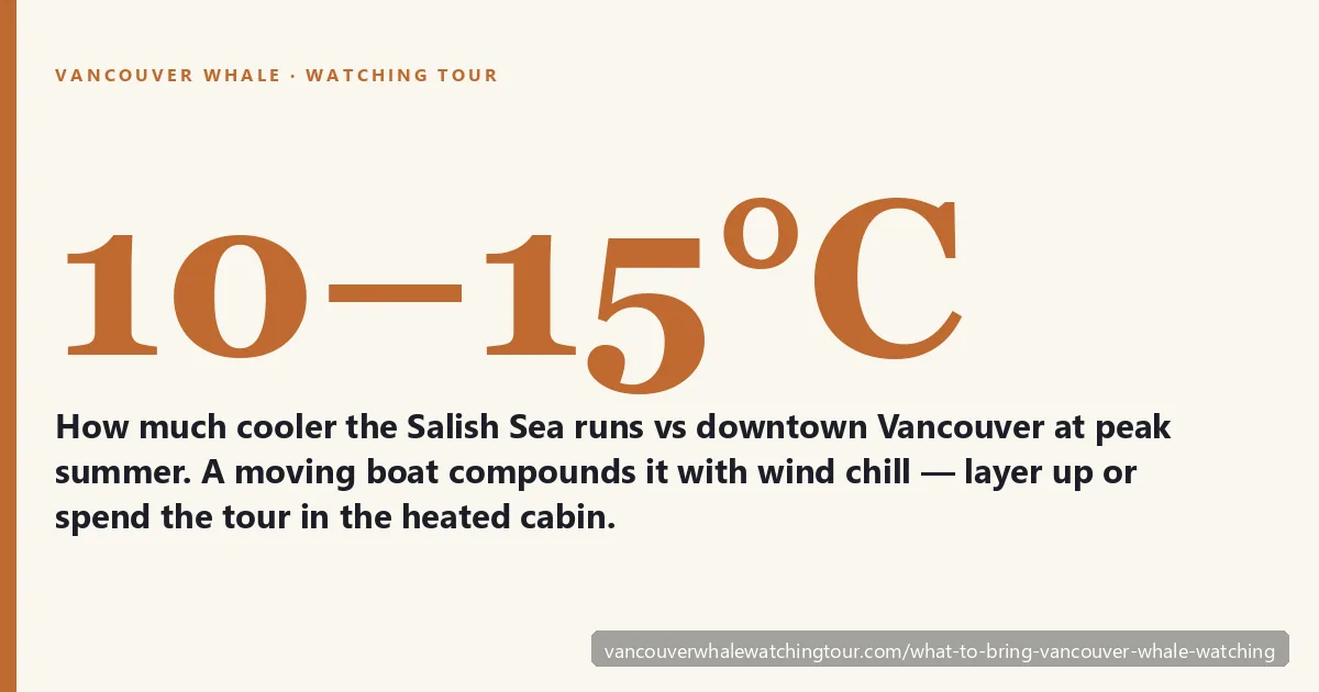 What to bring on a Vancouver whale watching tour: the Salish Sea runs 10 to 15 degrees C cooler than downtown Vancouver at peak summer and a moving boat compounds that with wind chill so layer up or spend the tour in the heated cabin