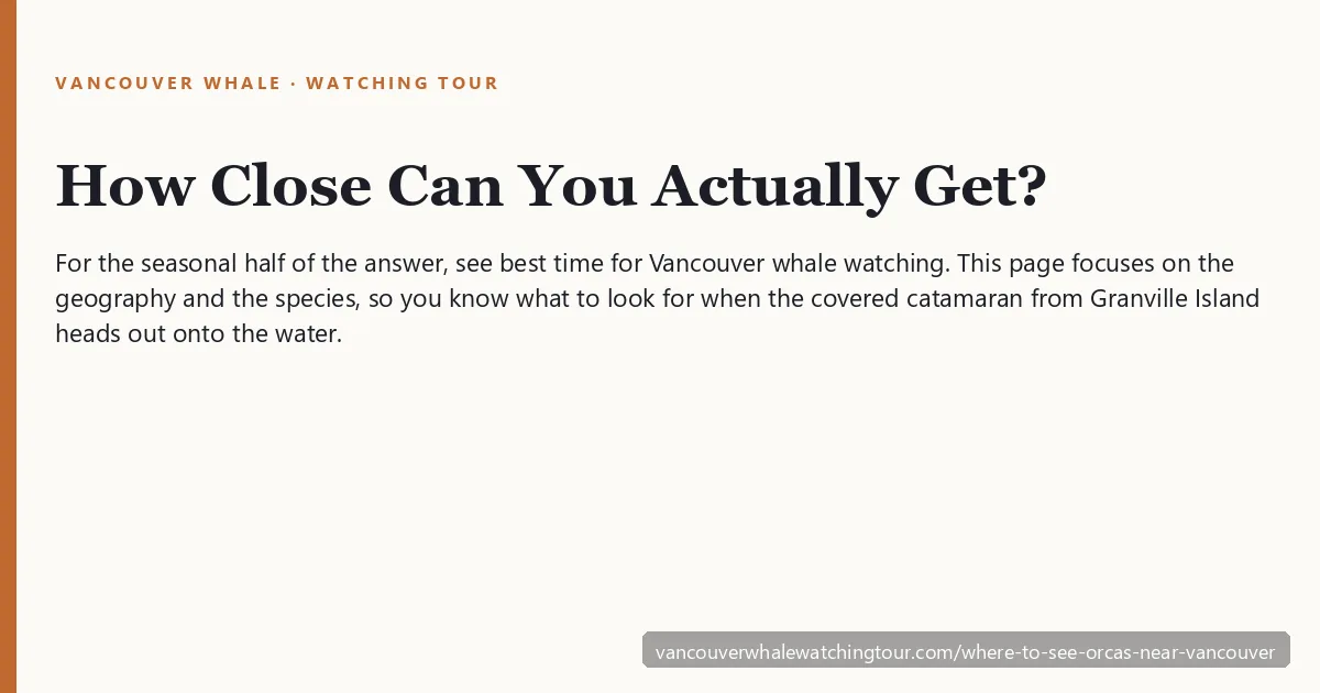 Where to see orcas near Vancouver: Salish Sea and Gulf Islands geography hook explaining the difference between fish-eating Southern Resident and mammal-eating Bigg&rsquo;s transient orca populations